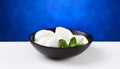 Italian mozzarella Royalty Free Stock Photo