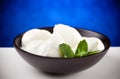 Italian mozzarella Royalty Free Stock Photo