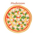 Italian mushroom pizza with champignons, cheese, ketchup and basil on a white background. Vector pizza illustration for