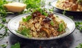 Italian Mushroom risotto with parmesan cheese and wild rocket on top. Royalty Free Stock Photo