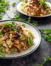 Italian Mushroom risotto with parmesan cheese and wild rocket on top. Royalty Free Stock Photo