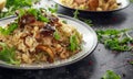 Italian Mushroom risotto with parmesan cheese and wild rocket on top. Royalty Free Stock Photo