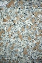 Italian natural marble marmor texture grey beige
