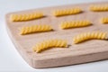 Pasta girandole types close up Royalty Free Stock Photo