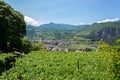 Italian north landscape with vineyards Royalty Free Stock Photo