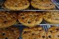 Italian olive focaccia bread in baking trays