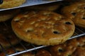 Italian olive focaccia bread in baking trays