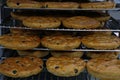 Italian olive focaccia bread in baking trays