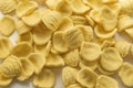 Italian orecchiette pasta Royalty Free Stock Photo