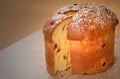 Italian Panettone Christmas Bread