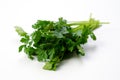 Italian Parsley Royalty Free Stock Photo