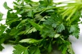 Italian Parsley Royalty Free Stock Photo