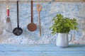 Italian Parsley and kitchen utensils Royalty Free Stock Photo