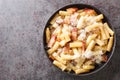 Italian pasta alla gricia in a plate with grated pecorino romano and guanciale closeup. Horizontal top view
