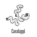 Italian pasta cavatappi chelletnani. Hand drawn sketch style illustration of traditional italian food. Best for menu designs and Royalty Free Stock Photo