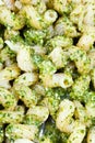 Italian pasta cavatappi with pesto sauce Royalty Free Stock Photo