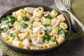 Italian pasta with chicken breast, mushrooms and spinach in creamy cheese sauce close-up in a plate. Horizontal Royalty Free Stock Photo