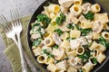Italian pasta with chicken breast, mushrooms and spinach in creamy cheese sauce close-up in a plate. Horizontal top view Royalty Free Stock Photo