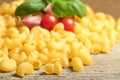 Italian pasta chiocciole Royalty Free Stock Photo