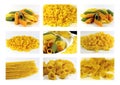 Italian pasta collection - collage Royalty Free Stock Photo