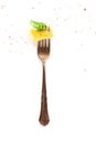 A fork with a ravioli, basil leaf and pepper on a white background