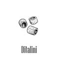 Italian pasta Ditalini. Hand drawn sketch style illustration of traditional italian food. Best for menu designs and packaging. Vec