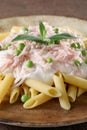 Italian pasta macaroni with ham and cheese cream Royalty Free Stock Photo