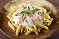 Italian pasta macaroni with ham and cheese cream Royalty Free Stock Photo