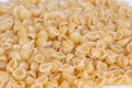 Italian pasta macaroni isolated on white background. Detail of the texture Royalty Free Stock Photo