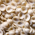 Italian pasta - orecchiette Royalty Free Stock Photo