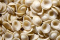 Italian pasta - orecchiette Royalty Free Stock Photo