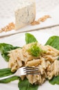 Italian pasta penne gorgonzola and pine nuts Royalty Free Stock Photo