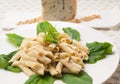 Italian pasta penne gorgonzola and pine nuts Royalty Free Stock Photo