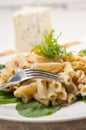 Italian pasta penne gorgonzola and pine nuts Royalty Free Stock Photo