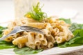 Italian pasta penne gorgonzola and pine nuts Royalty Free Stock Photo