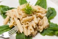 Italian pasta penne gorgonzola and pine nuts Royalty Free Stock Photo