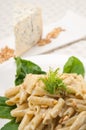 Italian pasta penne gorgonzola and pine nuts Royalty Free Stock Photo