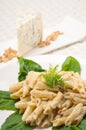 Italian pasta penne gorgonzola and pine nuts Royalty Free Stock Photo