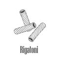 Italian pasta rigatoni. Hand drawn sketch style illustration of traditional italian food. Best for menu designs and packaging. Vec