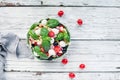 Italian Pasta Salad with Fresh Tomatoes, Black Olives, Mozzarella Balls, and Basil Royalty Free Stock Photo