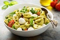 Italian pasta salad with spinach ricotta tortellini Royalty Free Stock Photo