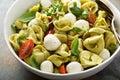 Italian pasta salad with spinach ricotta tortellini Royalty Free Stock Photo