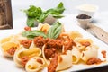 Italian pasta and sauce with meal Royalty Free Stock Photo