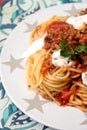 Italian pasta with a sauce of tomatoes Royalty Free Stock Photo