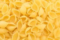 Italian pasta shells in a pile Royalty Free Stock Photo