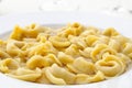 Italian pasta ,tortellini in broth, closeup Royalty Free Stock Photo