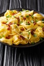 Italian pasta tortelloni with bacon, cheese and green onions close-up in a plate. vertical