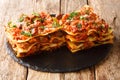 Italian pasta Vincisgrassi with chicken giblets, beef, pork, cheese and vegetables close-up on a slate board. horizontal