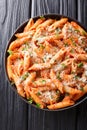Italian penne pasta alla vodka topped with parmesan and parsley close-up in a plate. Vertical top view