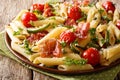 Italian penne pasta with ham prosciutto, tomato, zucchini and pa Royalty Free Stock Photo